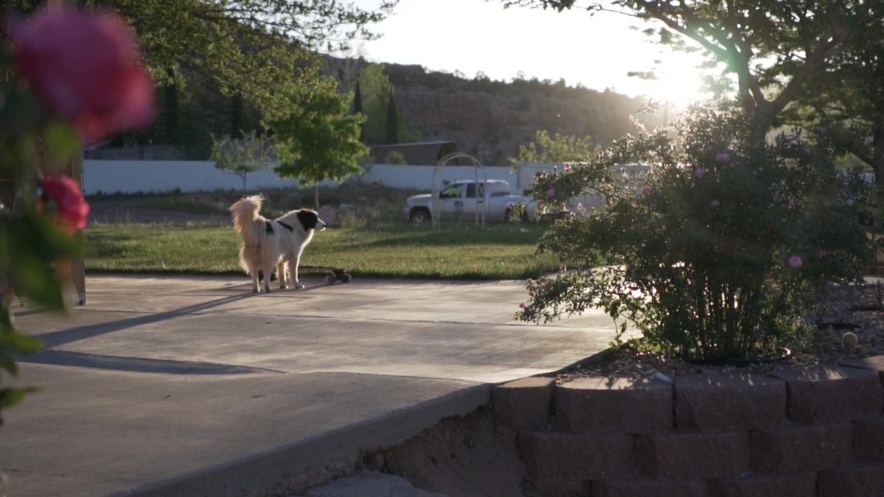 Hildale Zion'S Blue Sage Bed & Breakfast מראה חיצוני תמונה